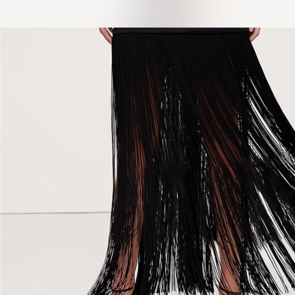 Banana Republic Elegant Black Fringe Dress - Picture 5 of 5